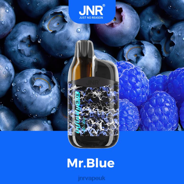 JNR Vape Pods - Mr.Blue JNR INFINITY BOX XVH2687