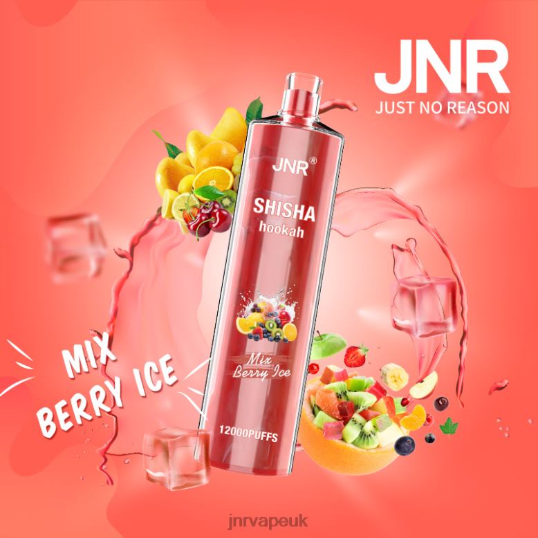 JNR Vape Factory - Mix Berry Ice JNR SHISHA XVH26166